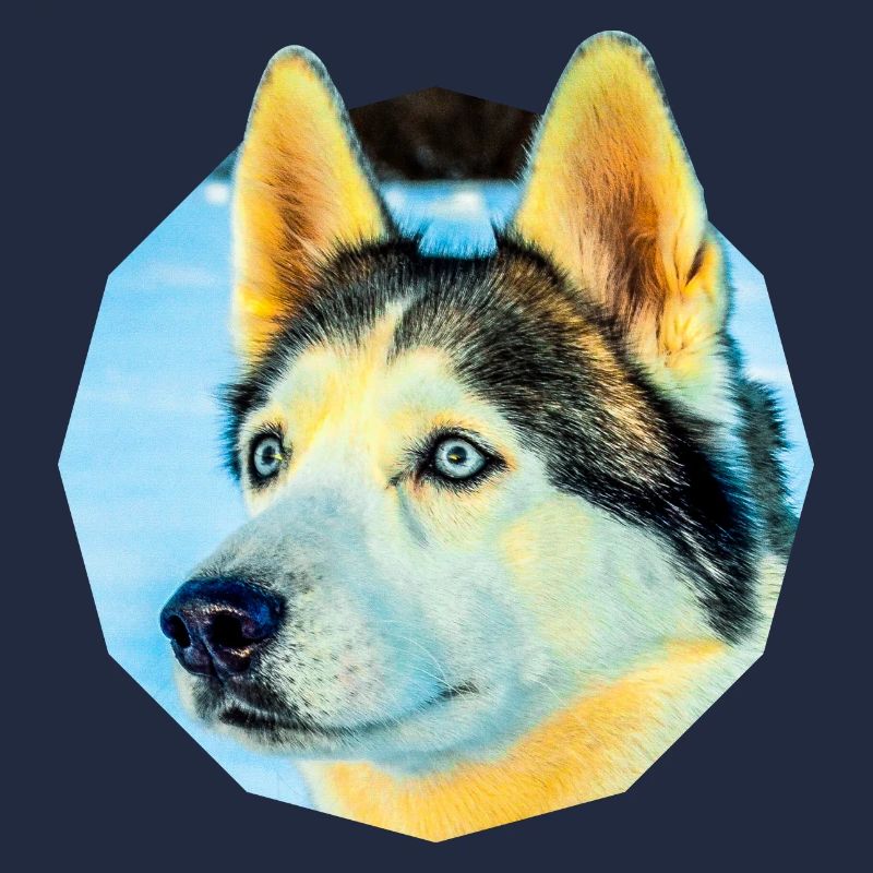Husky