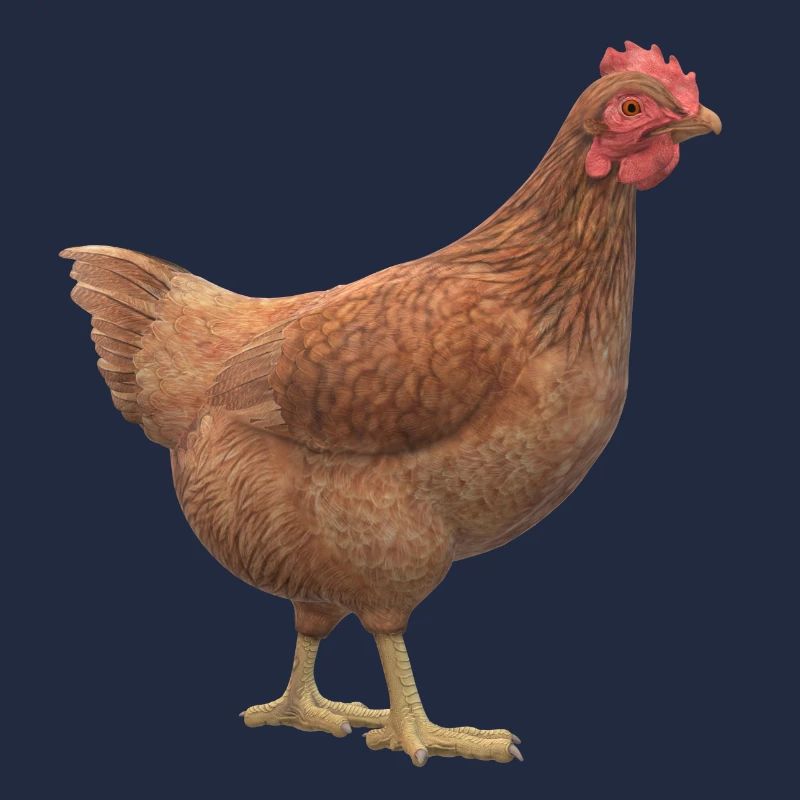 Poulet 3D