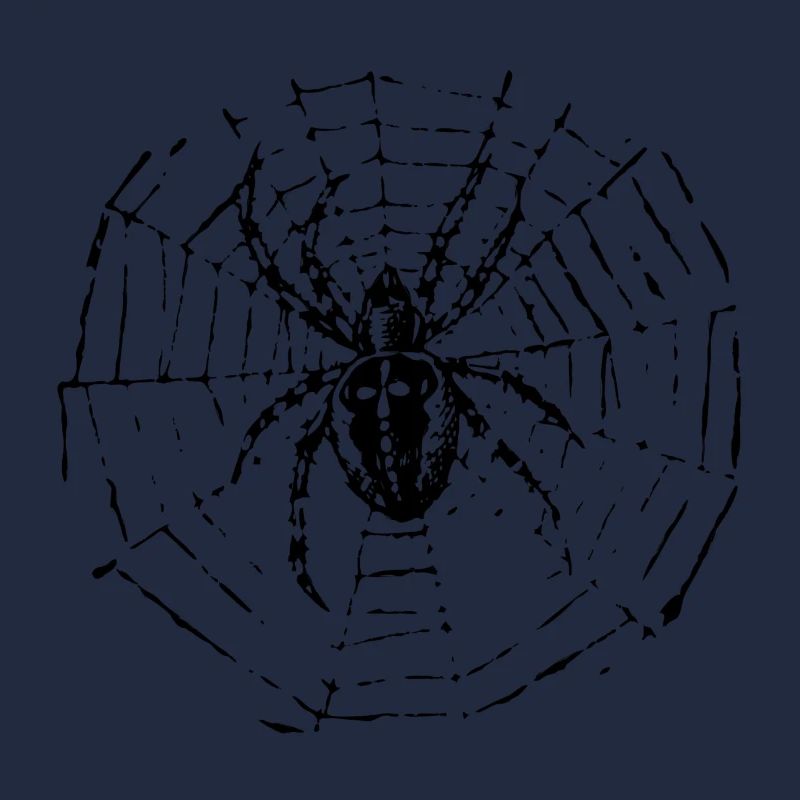 Kreuzspinne
