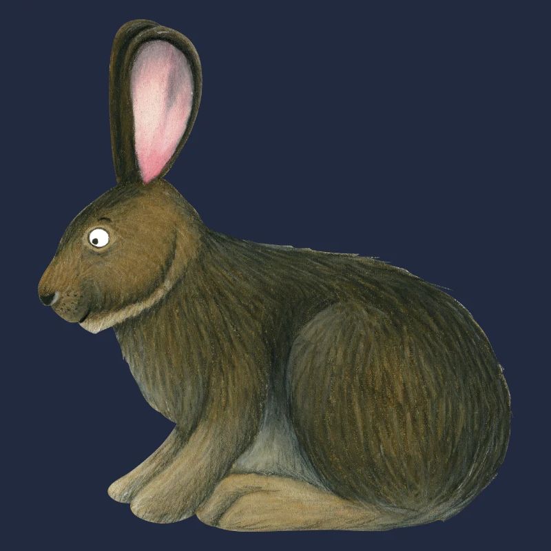 Lapin des prairies