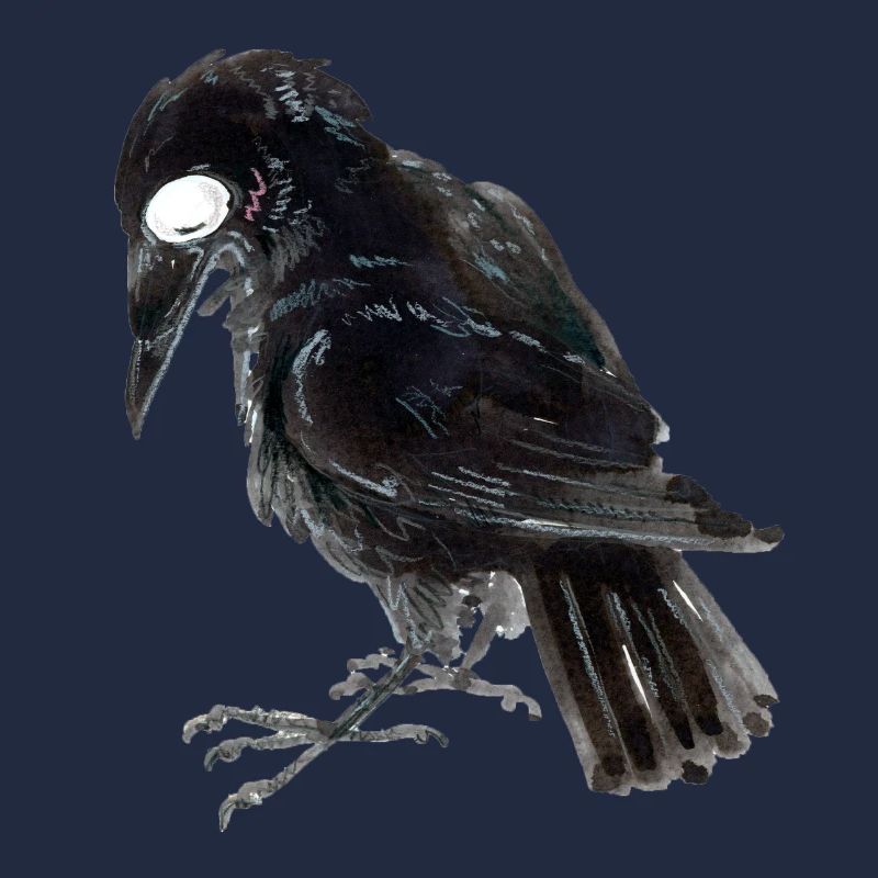 Corbeau 3