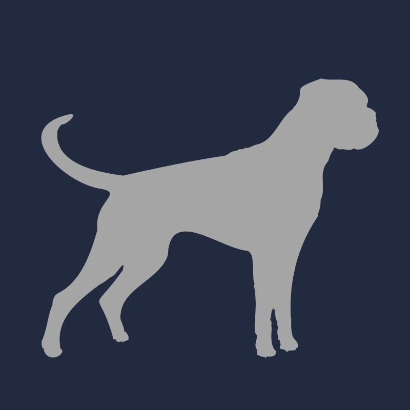Gris boxer