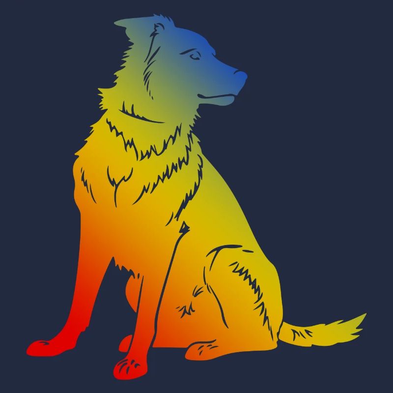 Chien Border Collie