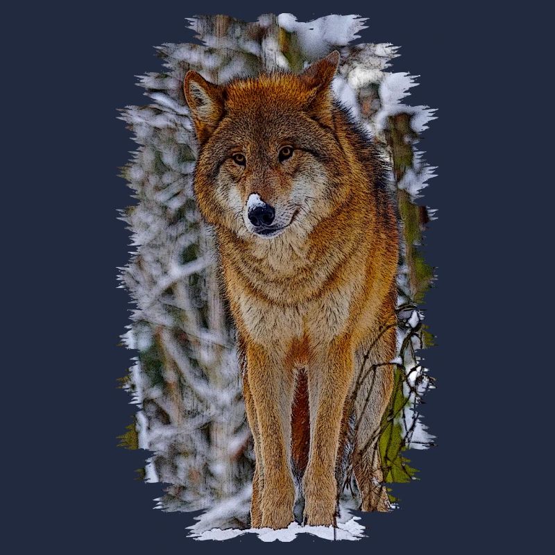 wolf