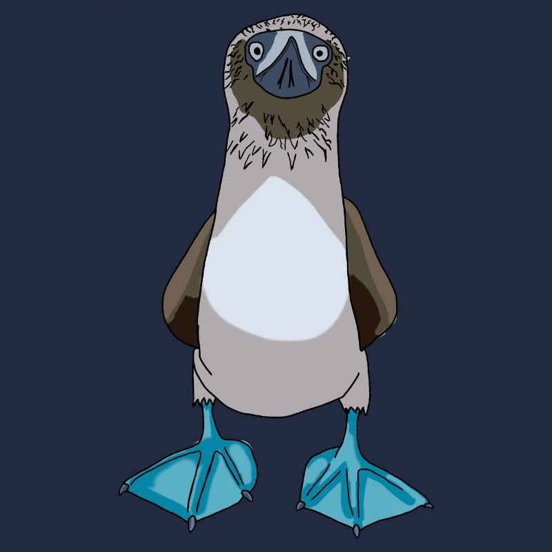 Blue Footed Booby