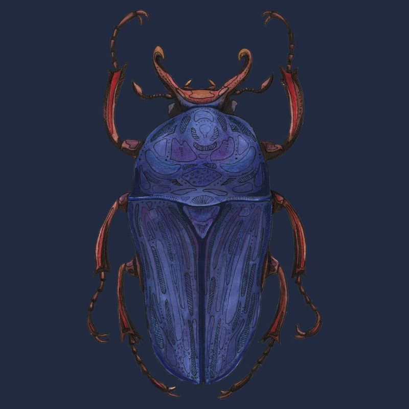 Big Beetle Stag - cerf géant
