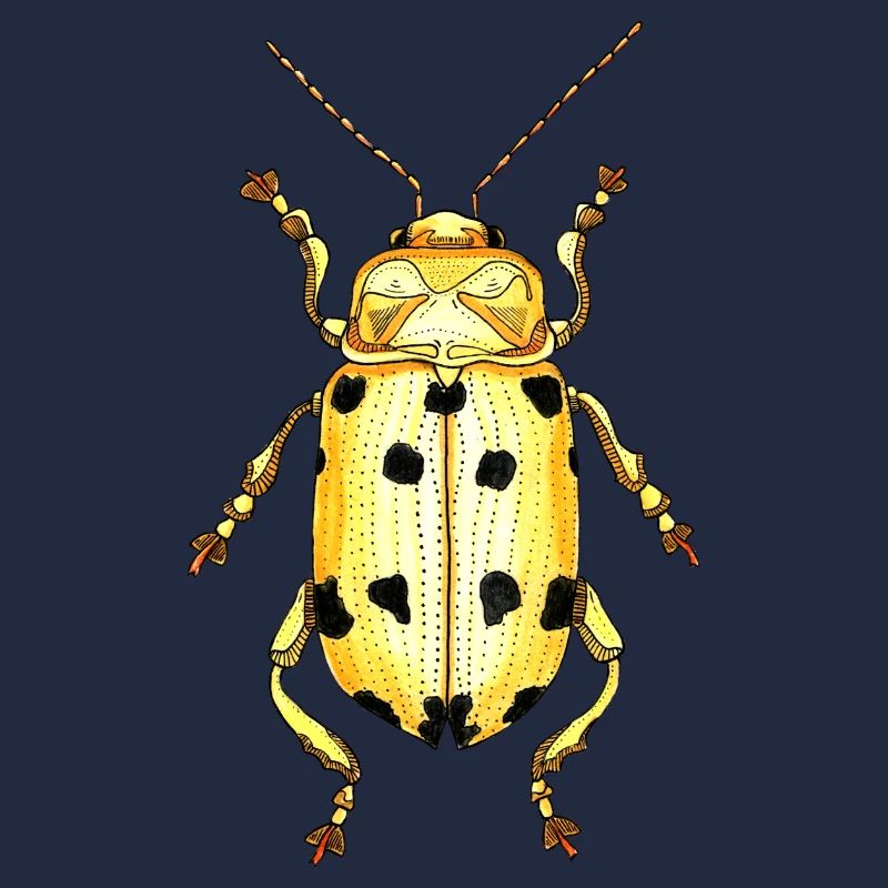 Großer Käferhirsch - Riesenkäferhirsch