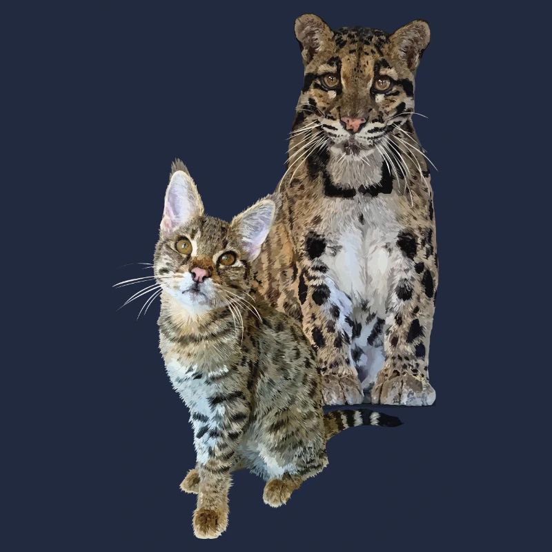 Nebelparder und Katze