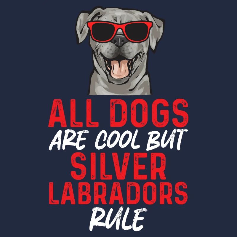 Silver Labrador Retriever Silver Lab