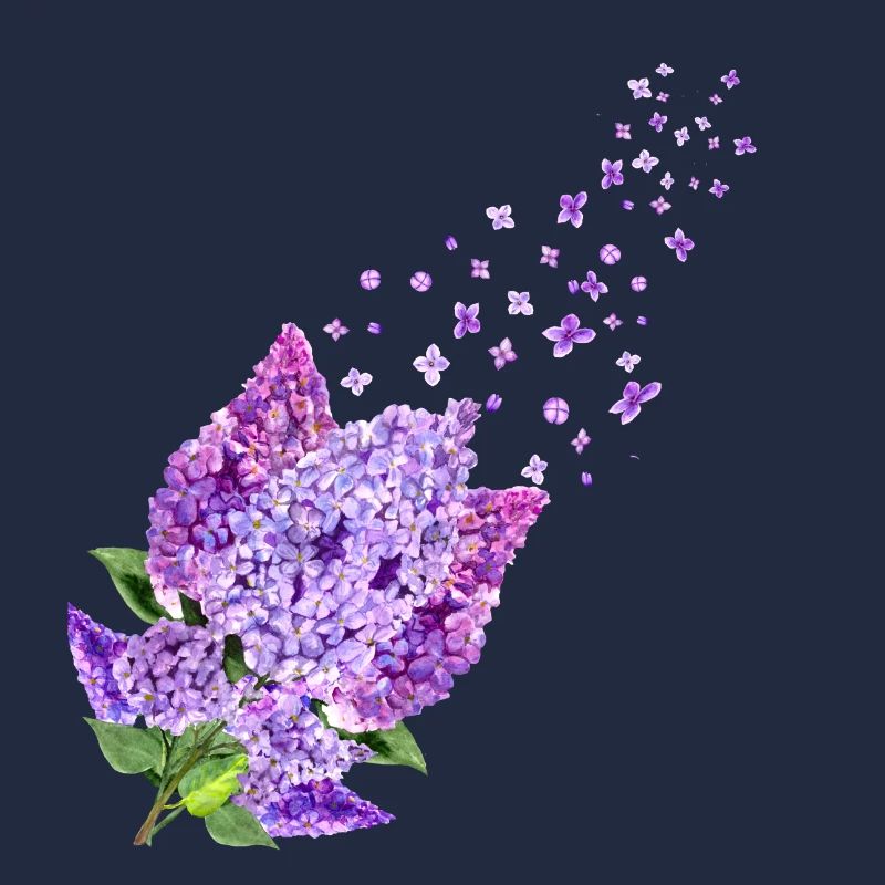 Fleurs de beaucoup de fleurs printemps flow lilas d’été