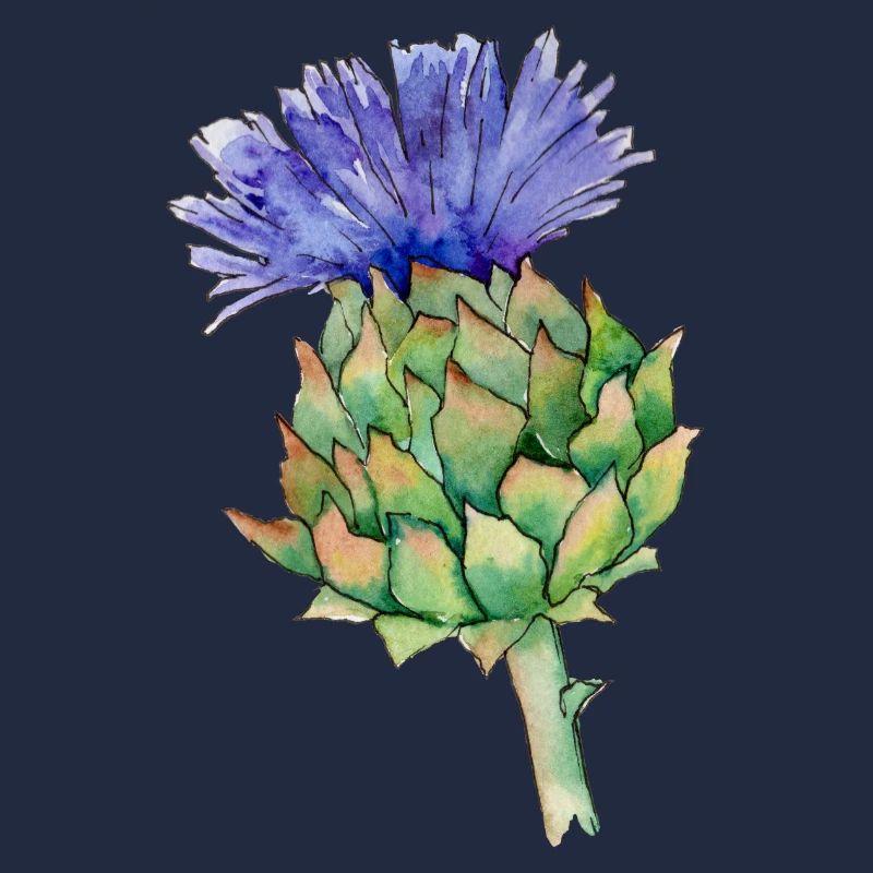 Aquarelldistel