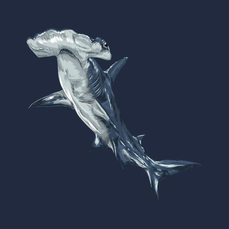 Requin, requin