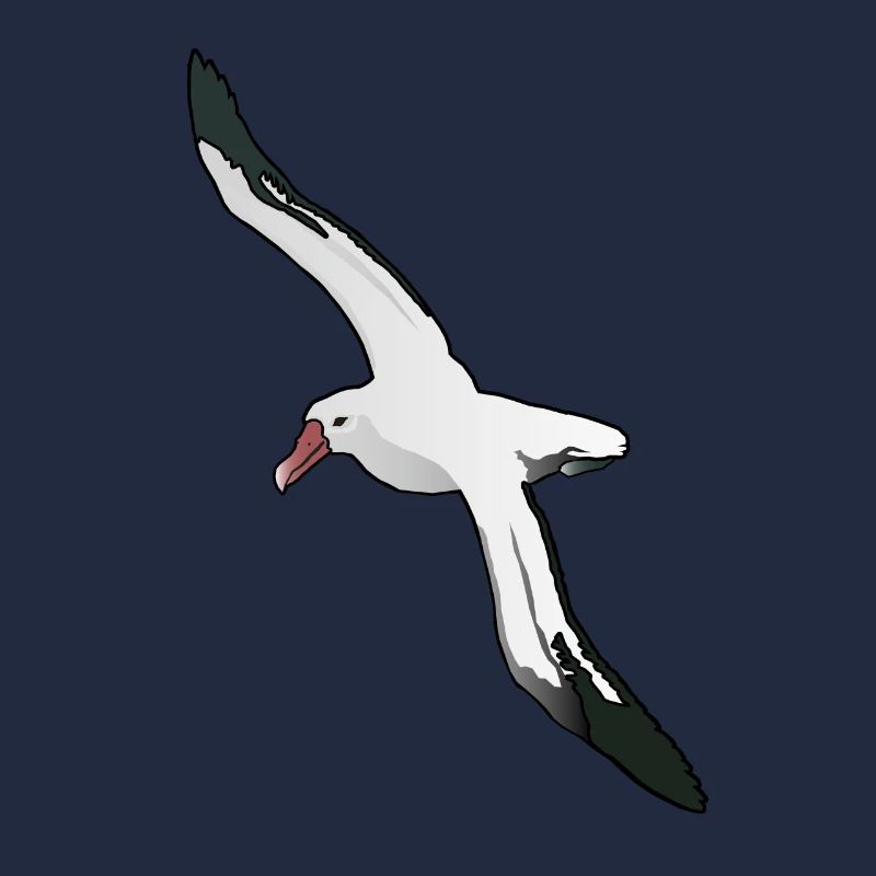 Albatross