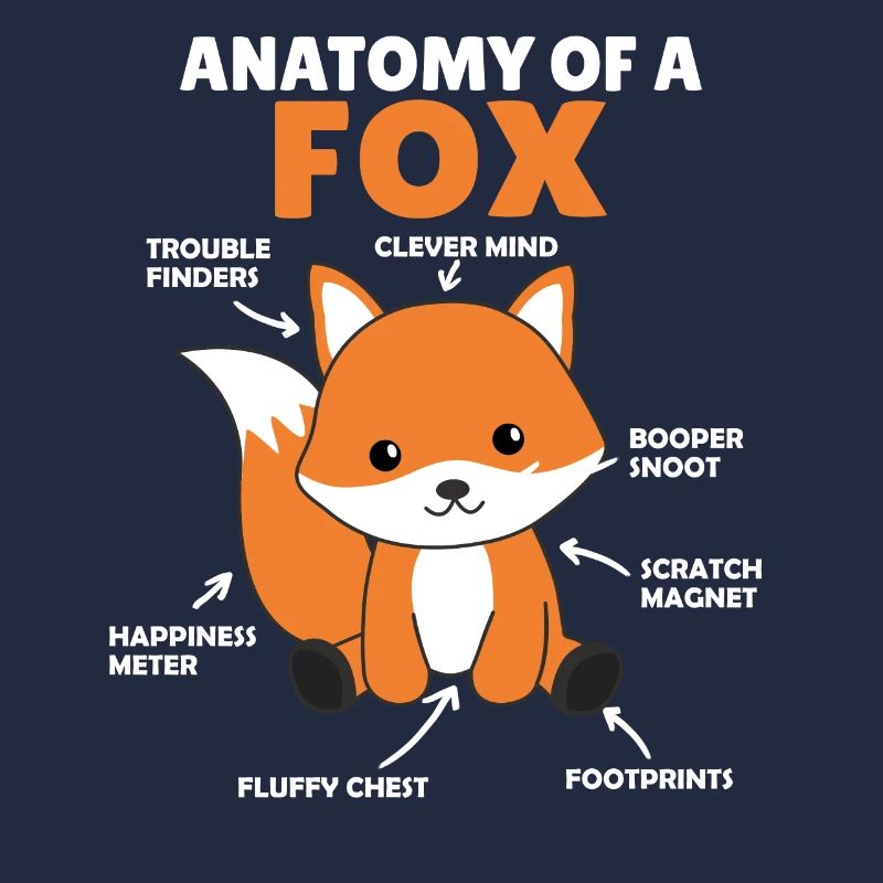 doux renard explication Anatomie d’un renard