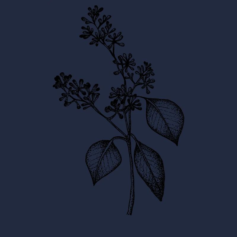 Eucalyptus