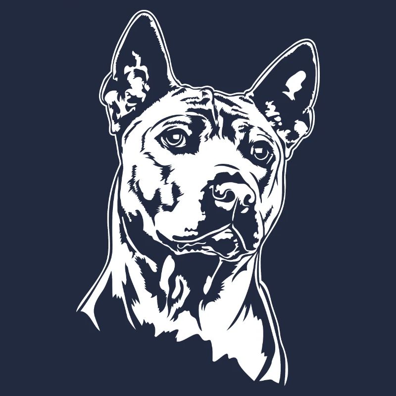 Thai Ridgeback Portrait Chien Chiens Wilsigns