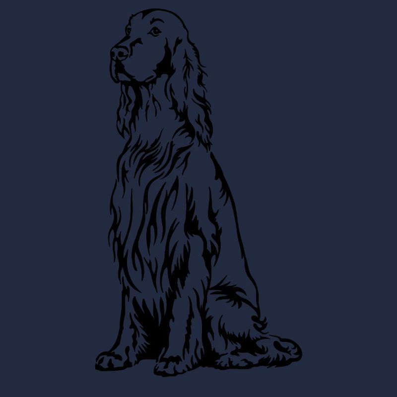 Irish Setter