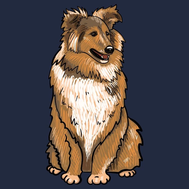Sheltie Hund