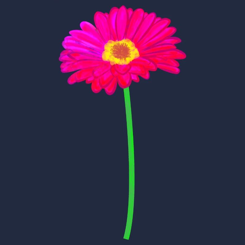 Gerbera