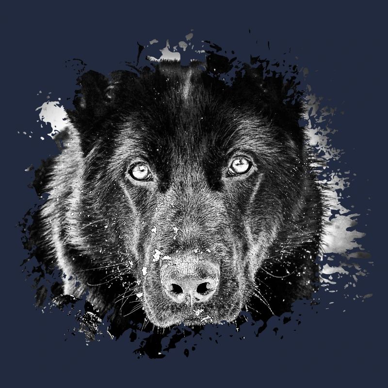 German shepherd