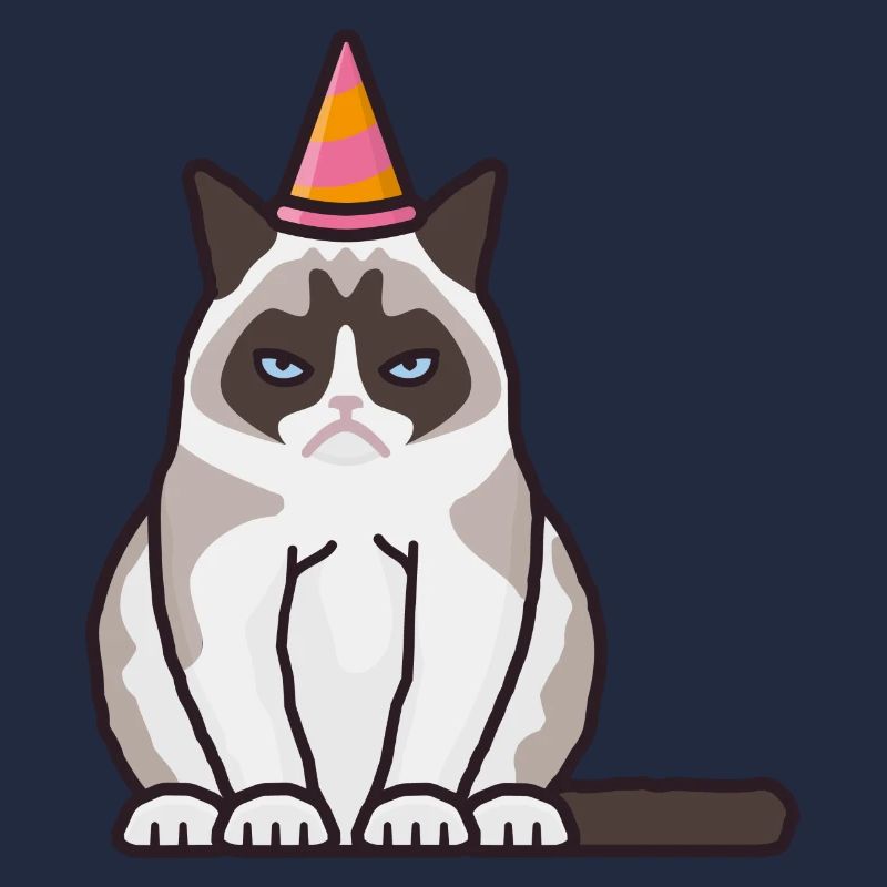 Grumpy, grim cat with party hat