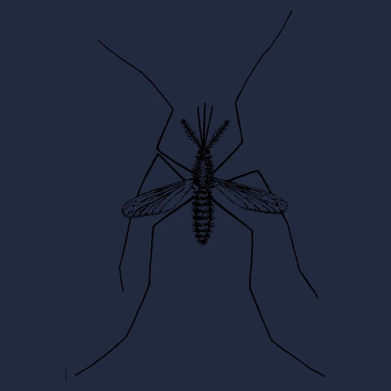 17 Mosqui