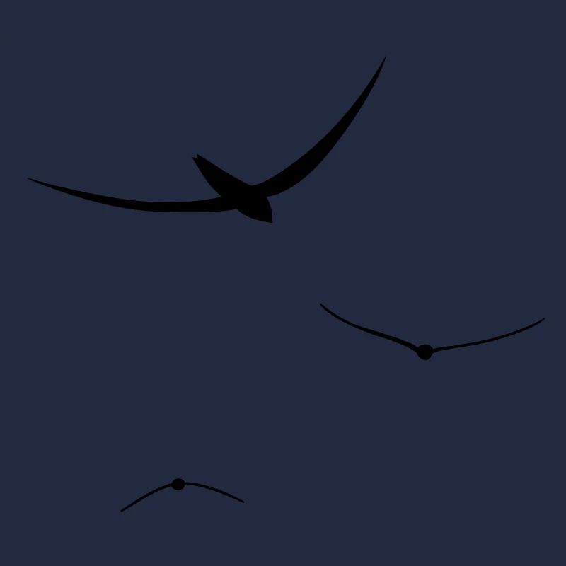 birds free fly