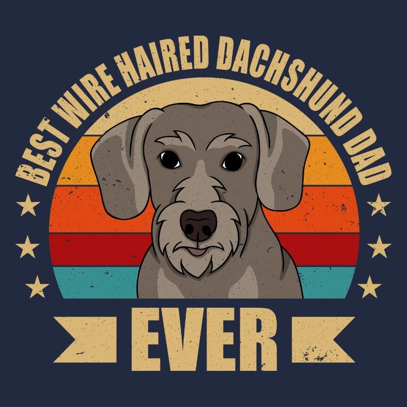 Rough-haired Dachshund Papa