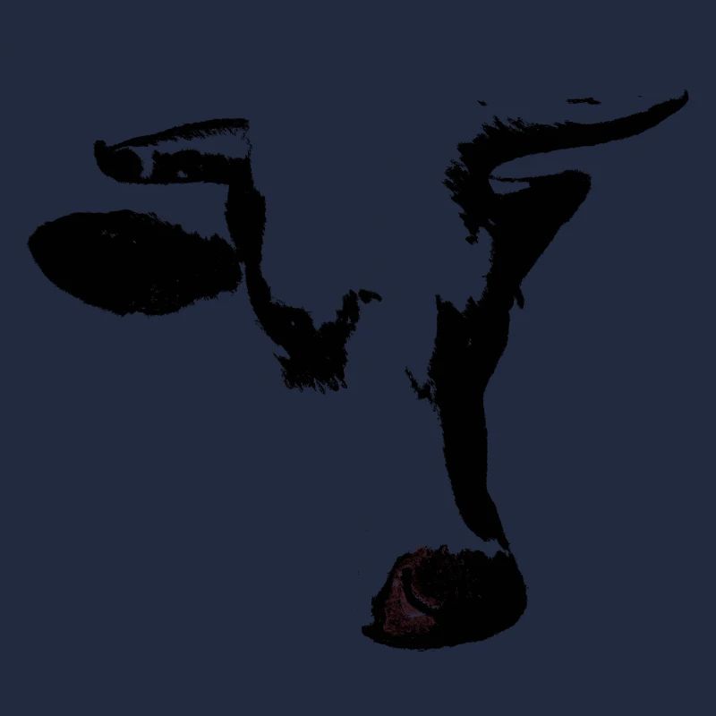 The Bull