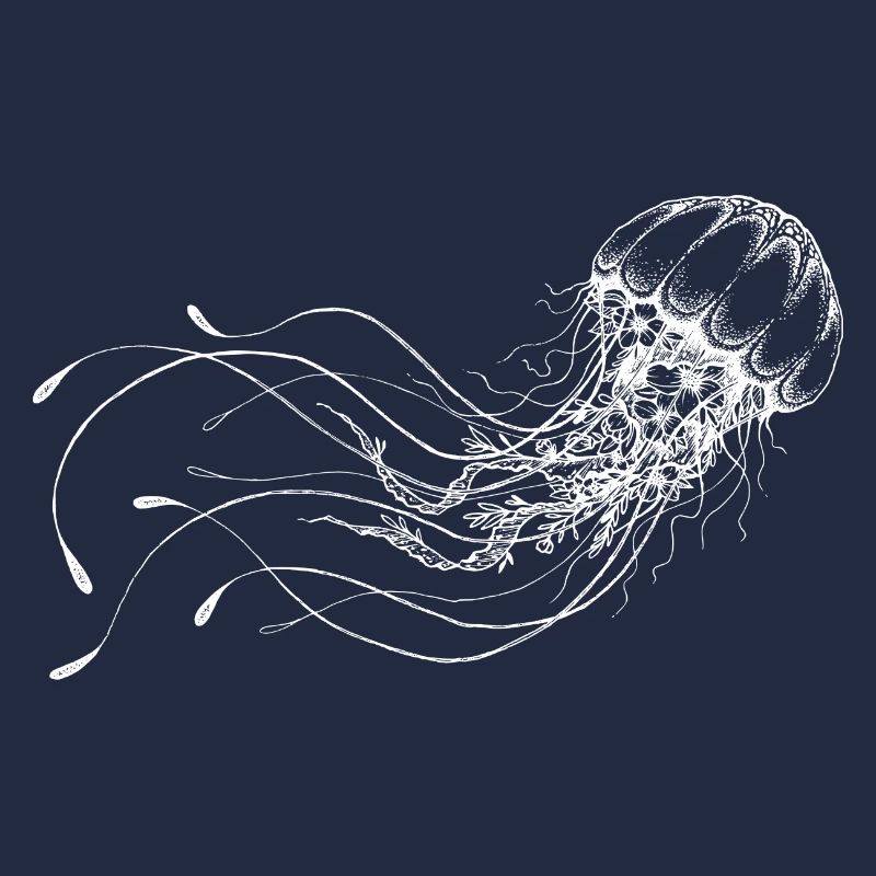 Jellyfish White Cnidarian