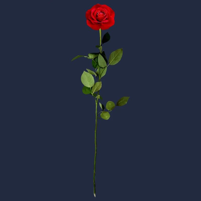Fleur rose rose rouge