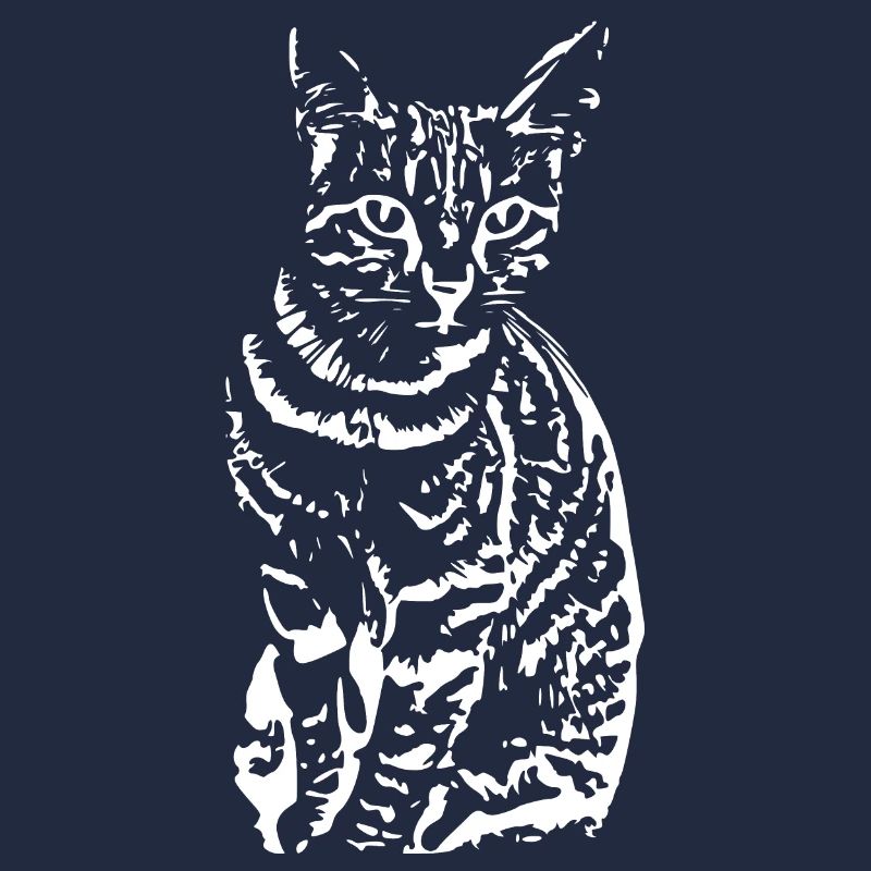 Chat, Chaton blanc