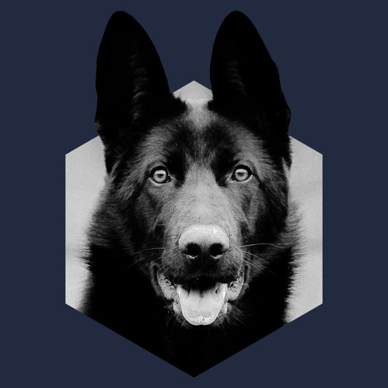 German shepherd