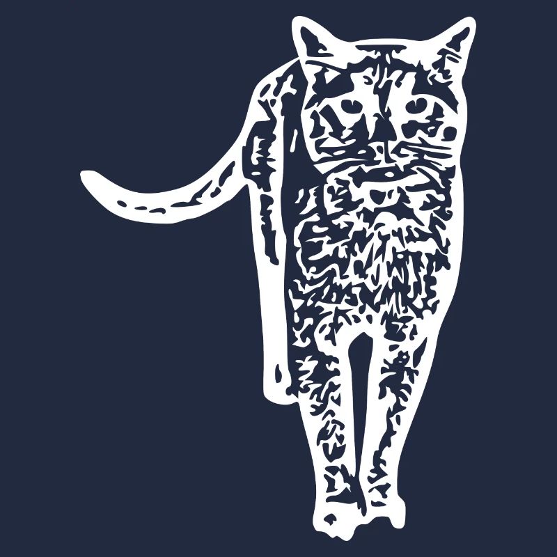 Chat blanc Chat Chat blanc Cadeau