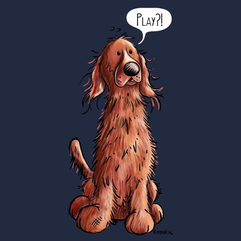 Irish Setter Play