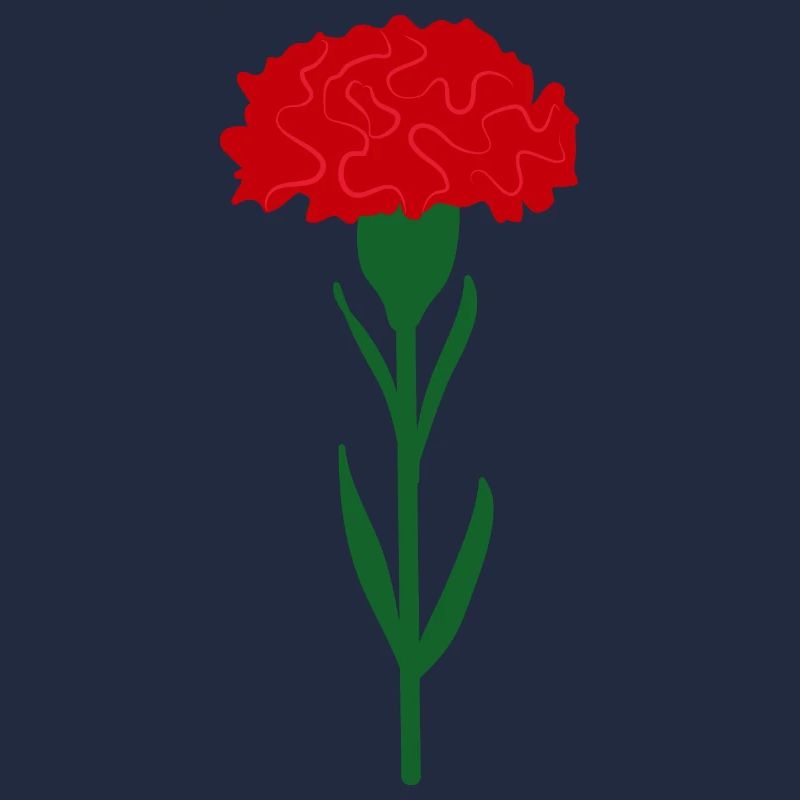 Fleur d’œillet rouge vif unique