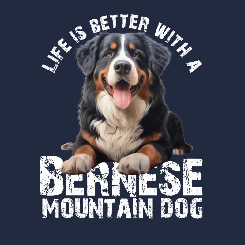Bouvier bernois
