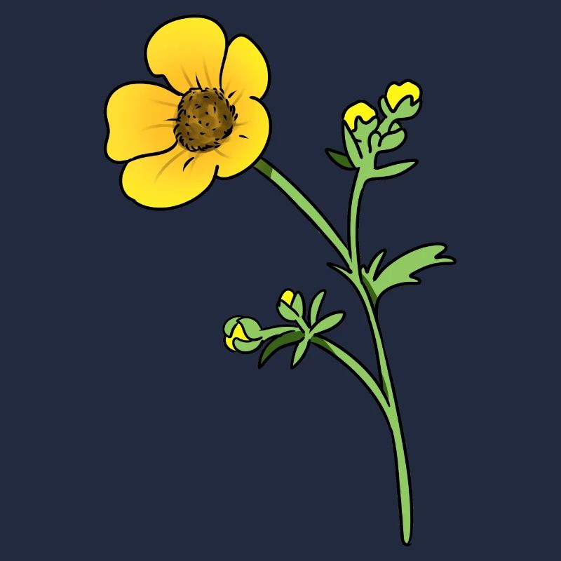 Butterblume