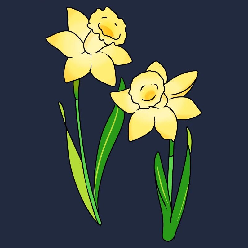Jonquilles