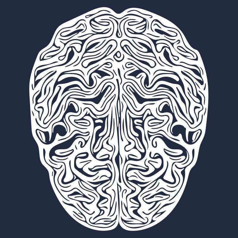 Gehirn - Anatomischer Vector