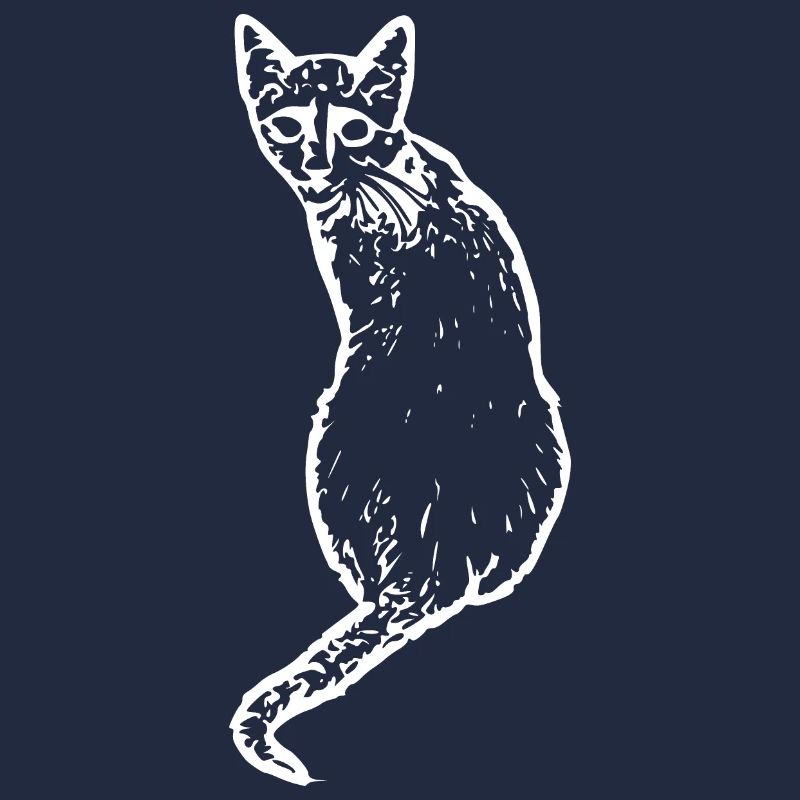 Chat Blanc Blanc Chats Chaton Mignon