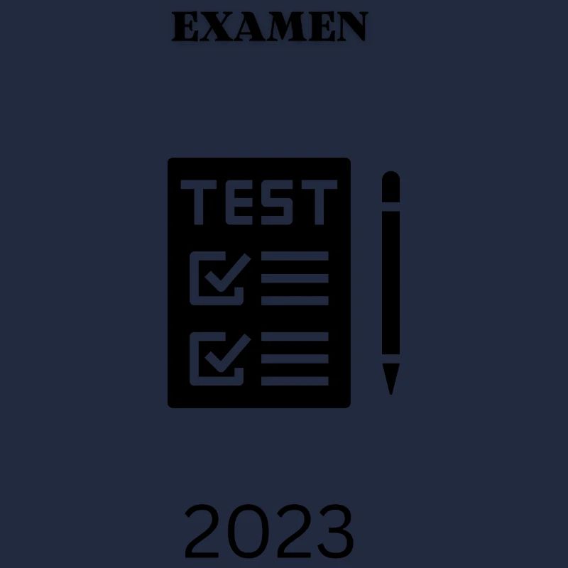 Diplôme d’examen en design