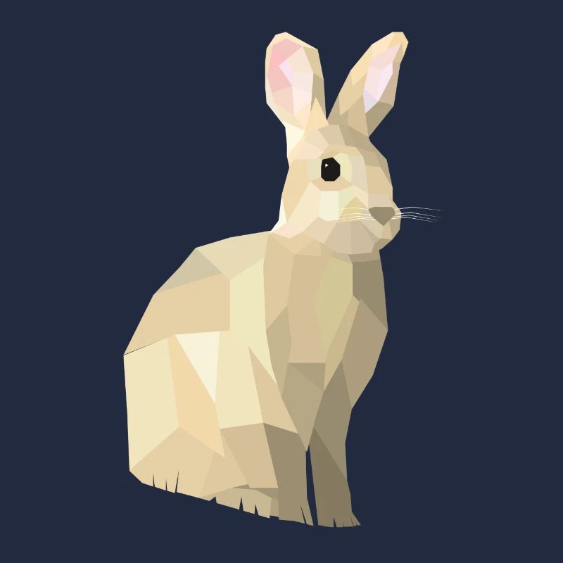 Lowpoly Rabbit - Nyhaux