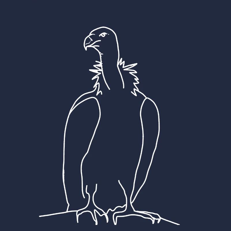 Vulture linear