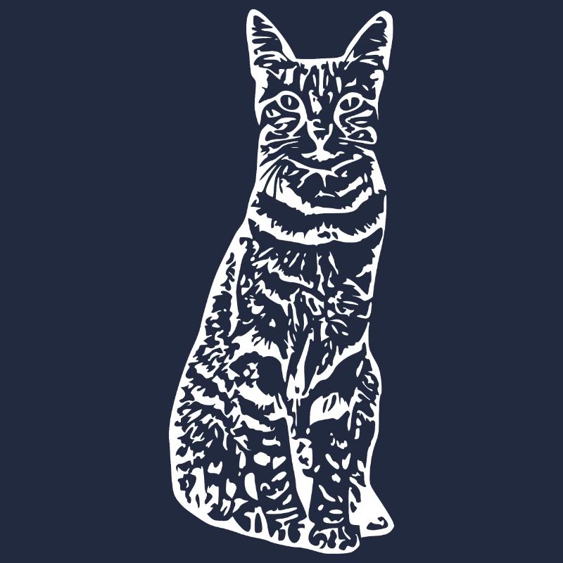 Katze Katze Kätzchen