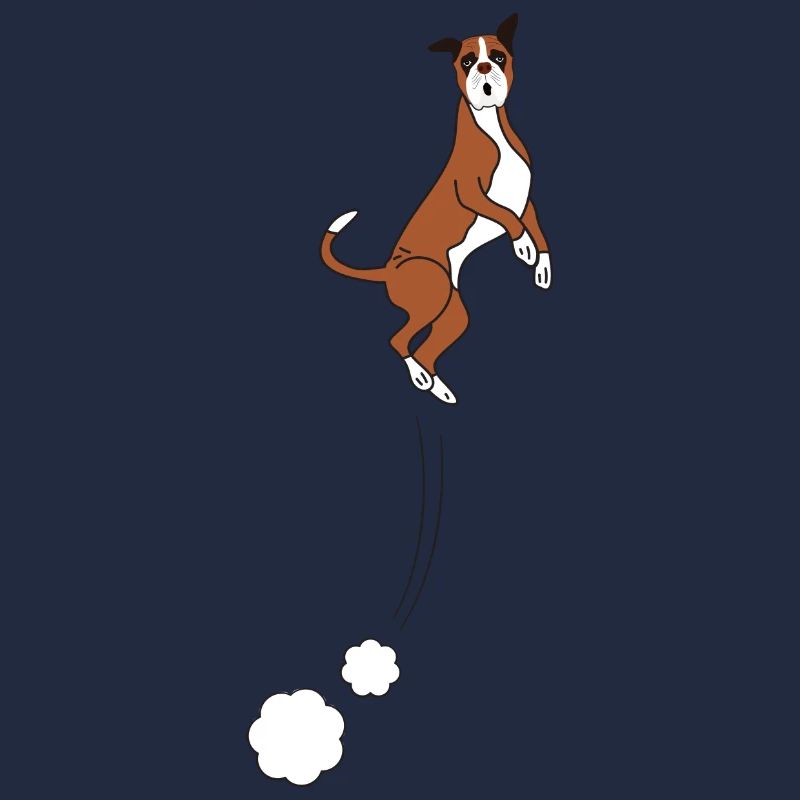 Boxer Hundesprünge