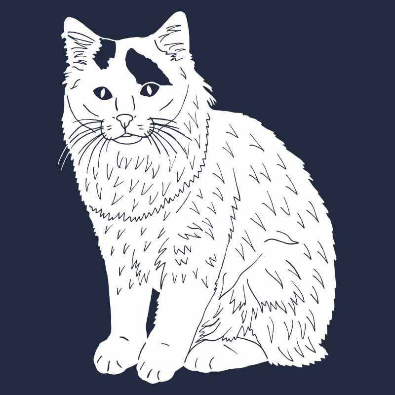 Türkisch Van Katze