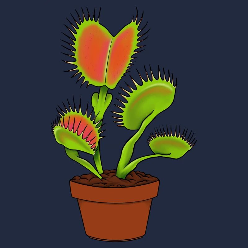 Carnivorous plantVenus flytrap