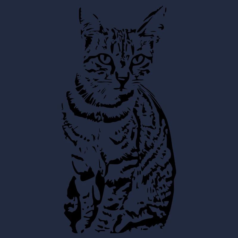 chat noir chat chaton doux cadeau de Noël