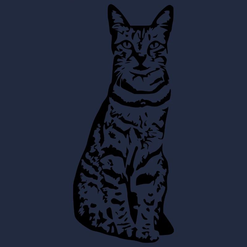 Chat chat noir chaton